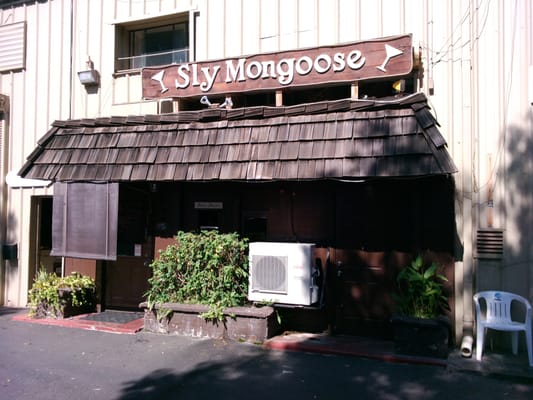 Sly Mongoose by null