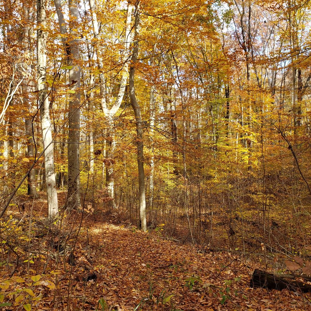 SCALES LAKE PARK Updated September 2024 36 Photos & 11 Reviews