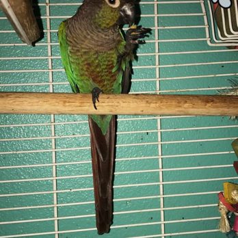 Birds Love US - Pet Stores Near Me - Whittier, California Birds Love US - Pet Stores Near Me - Whittier, California