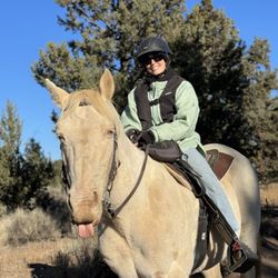 Wilderness Horse Adventures - Maverick being a silly goose