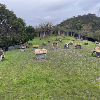 Bowhunters Unlimited - Notice the ground ring in the back--that's the target that can be shot at using flu-flu arrows. - Archery Near Me - Saratoga, California