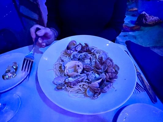 Ristorante Saraceno - Boston by null
