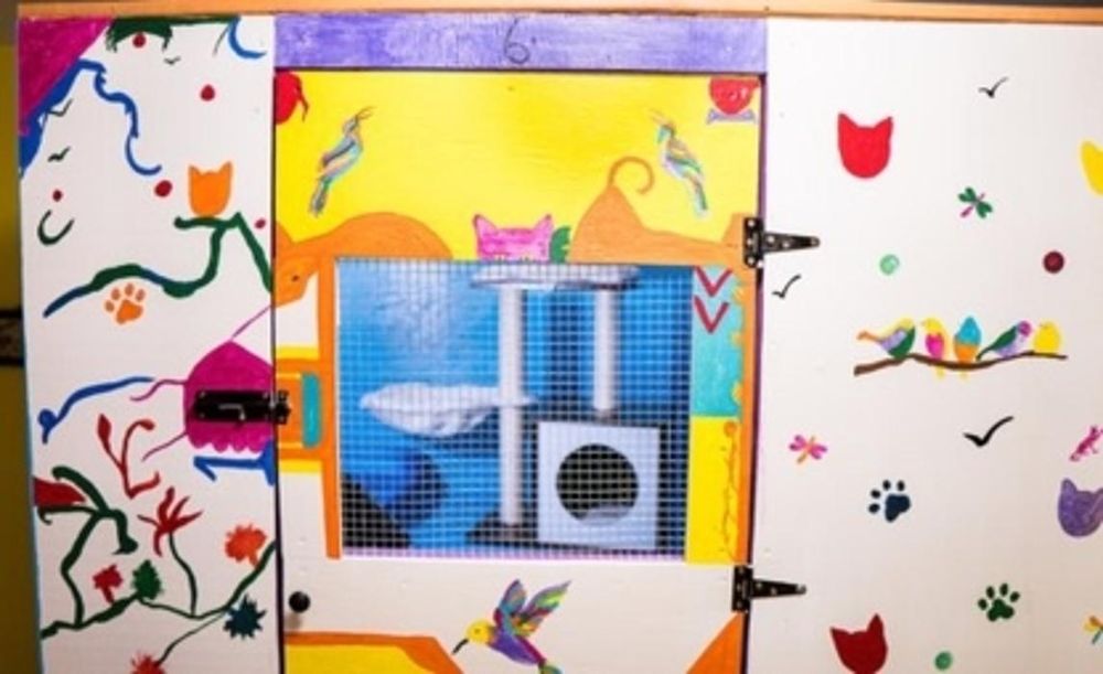 HALIFAX KITTY HOTEL Updated September 2024 10 Photos 23 Robert