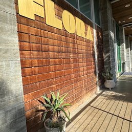 Exterior photo of Flora - Houston, Texas Exterior photo of Flora - Houston, Texas