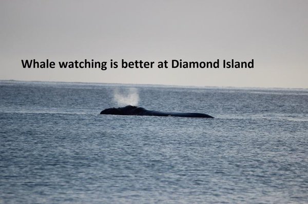 Diamond Island Resort by null