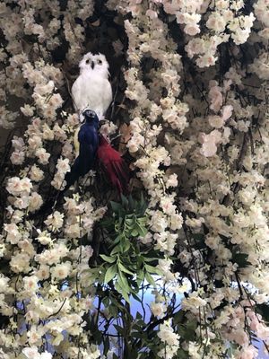 Deja Vu Restaurant & Bar by null