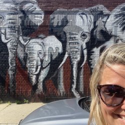 Elephant Mural