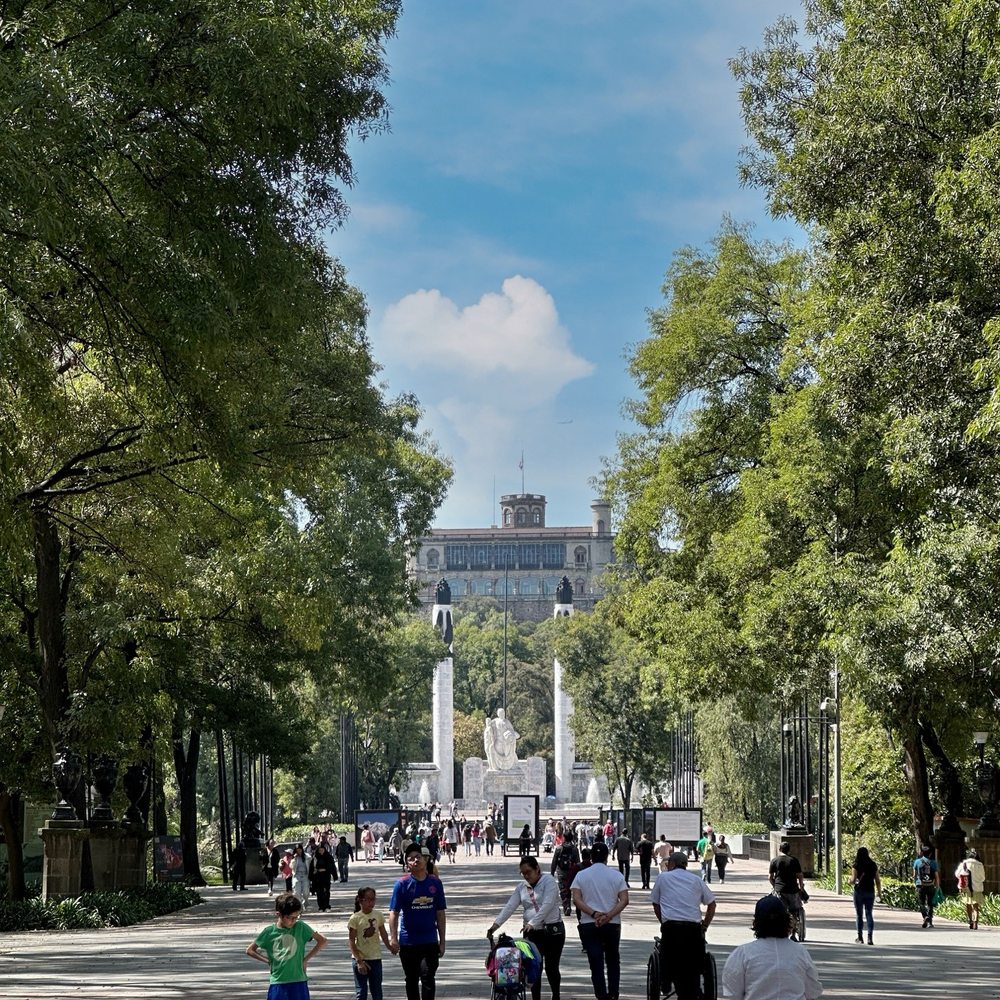 TOP 10 BEST Zoo in Mexico City, CDMX, Mexico - Updated 2026 - Yelp