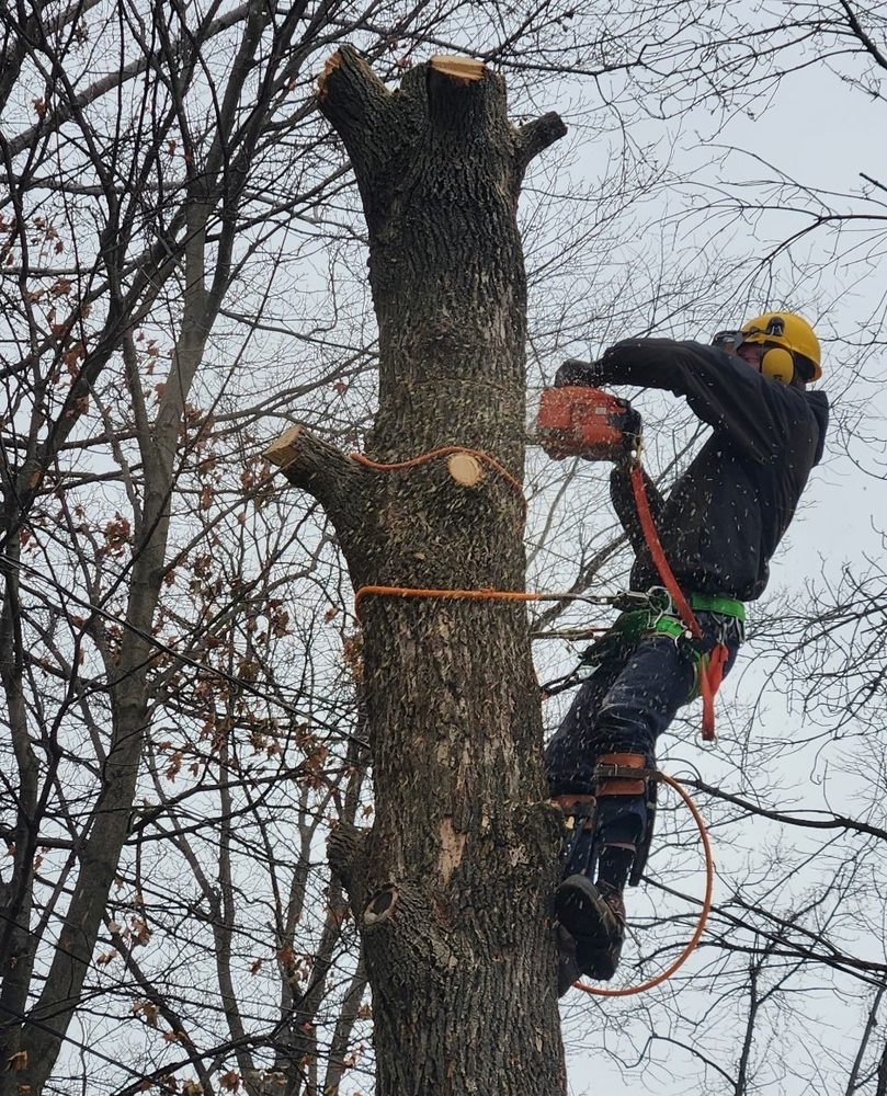 PAUL’S LANDSCAPING OF NY Updated October 2024 628 Hills Pond Rd