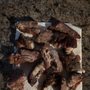 Photo of Kirk's BBQ