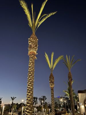 KazuNori: The Original Hand Roll Bar by null