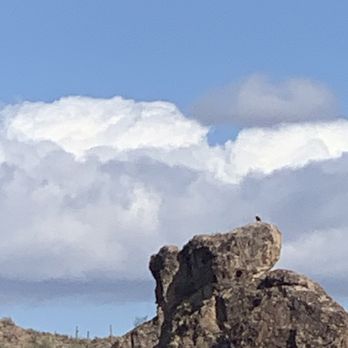 Desert Belle Cruises - Tours Near Me - Mesa, Arizona Desert Belle Cruises - Tours Near Me - Mesa, Arizona