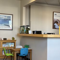 Peak Chiropractic - Shark bait hoo ha ha!