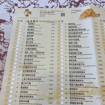 Fortune Villa - Menu - Chinese Near Me - Markham, Ontario