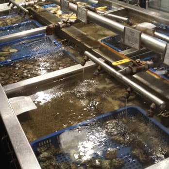 Taylor Shellfish Farms - Live shellfish - Seafood Near Me - Seattle, Washington Taylor Shellfish Farms - Live shellfish - Seafood Near Me - Seattle, Washington