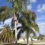 Photo of Timber Tree & Landscaping
