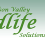 Photo of Hudson Valley Wildlife Solutions