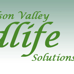 Hudson Valley Wildlife Solutions - Our logo.