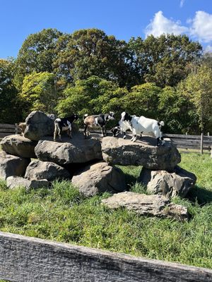 DuBois Farms by null