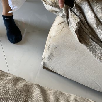 PT Van Lines - Black Mold - Movers Near Me - Las Vegas, Nevada PT Van Lines - Black Mold - Movers Near Me - Las Vegas, Nevada