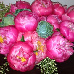7 and Branch - Peonies