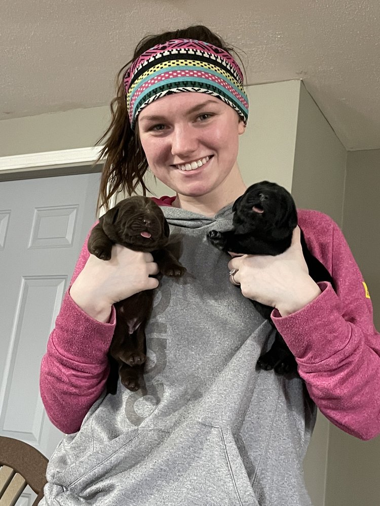 STRAFFORD VETERINARY CLINIC Updated September 2024 14 Photos 601