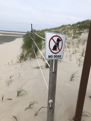 Chapin Memorial Beach by null