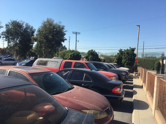 PICK YOUR PART - HELP YOURSELF - Updated October 2025 - 56 Photos & 38 ...