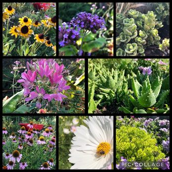 Ashton Gardens - Flower highlights - Botanical Gardens Near Me - Lehi, Utah Ashton Gardens - Flower highlights - Botanical Gardens Near Me - Lehi, Utah