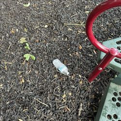 Cypress Point Park - Trash