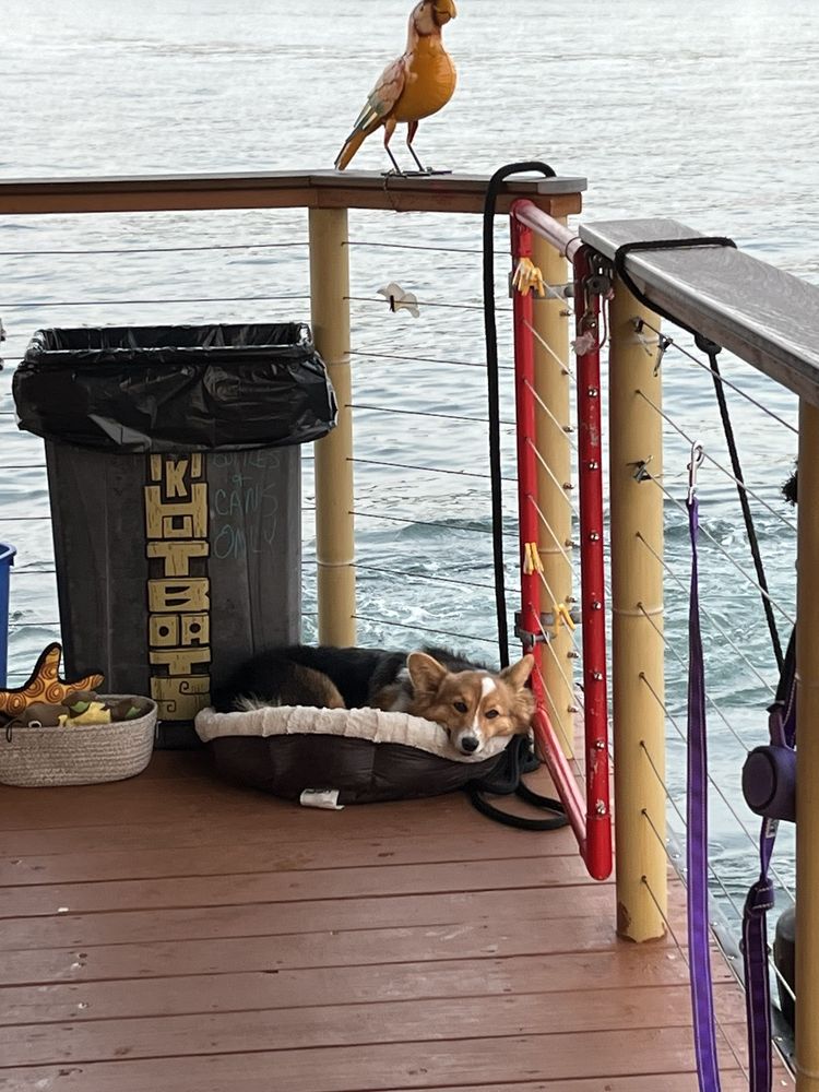 Tiki Hut Boats Image
