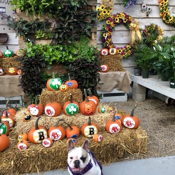 McCue Garden Center - Nurseries & Gardening Near Me - Woburn, Massachusetts