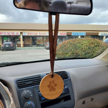 Peaceful Pets Aquamation - My baby still goes on car rides! - Pet Cremation Services Near Me - Northridge, California Peaceful Pets Aquamation - My baby still goes on car rides! - Pet Cremation Services Near Me - Northridge, California