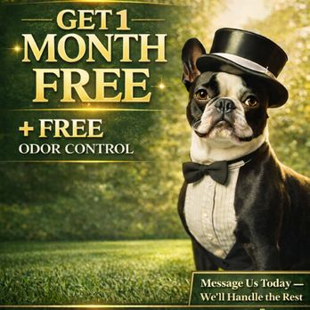 Backyard Butlers - Spring Special - Pet Waste Removal Near Me - Magnolia, Texas Backyard Butlers - Spring Special - Pet Waste Removal Near Me - Magnolia, Texas