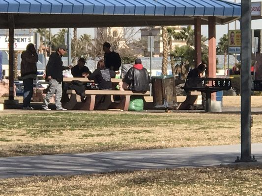 WEST FLAMINGO PARK - Updated January 2025 - 32 Photos - 6255 W Flamingo