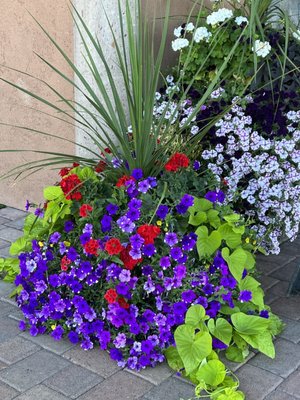 Vin Du Lac Winery by null