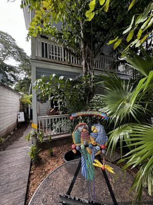 Nancy Forrester's Secret Garden by null