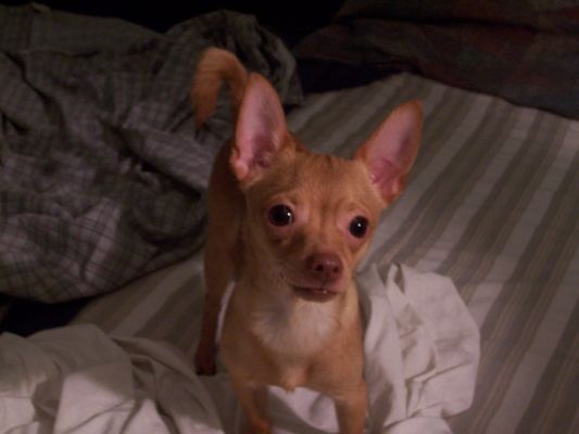 Aspca Animal Hospital 39 Photos 127 Reviews Veterinarians 424 E 92nd St New York Ny United States Phone Number