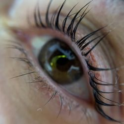 Harmony Studio Brows & Skincare - Lash lifting