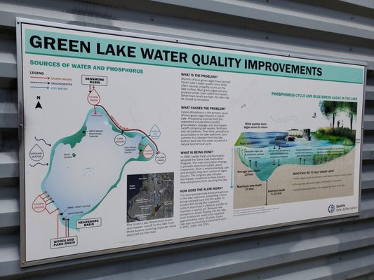 Green Lake Park by null