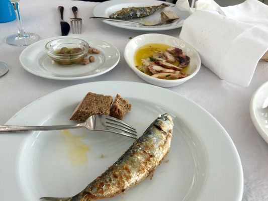 Dom Peixe by null