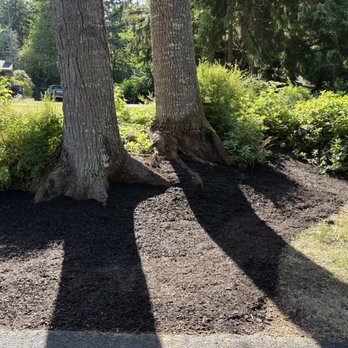 JF Lawn Services - Lawn Services Near Me - Chehalis, Washington JF Lawn Services - Lawn Services Near Me - Chehalis, Washington