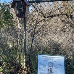 West Area Pond - Native Bee Nesting Blocks