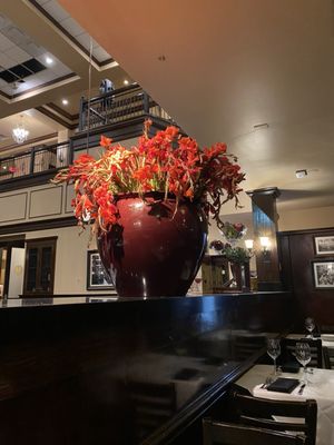 Maggiano's Little Italy by null