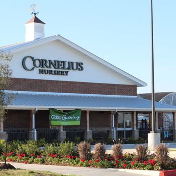 Cornelius Nursery - Nurseries & Gardening Near Me - Sugar Land, Texas Cornelius Nursery - Nurseries & Gardening Near Me - Sugar Land, Texas