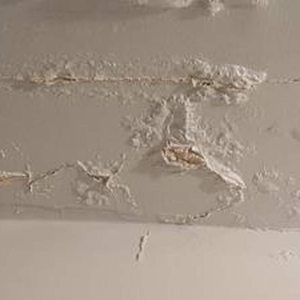 The Bat Guys Bat Removal - ruined ceiling - Pest Control Near Me The Bat Guys Bat Removal - ruined ceiling - Pest Control Near Me