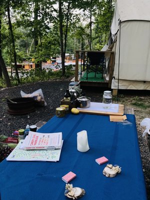 Treetopia Airstream Hotel and RV Campground by null