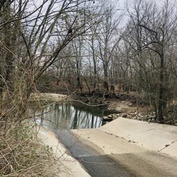 Lovitt Wood Trails