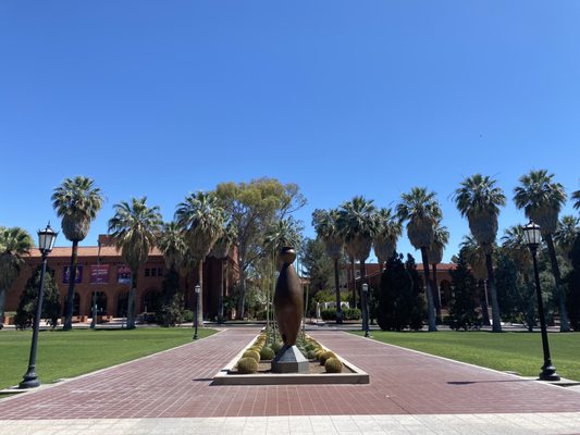 Arizona State Museum by null