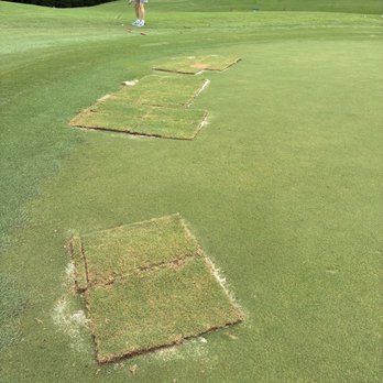 Marcus Pointe Golf Club - Golf Near Me - Pensacola, Florida
